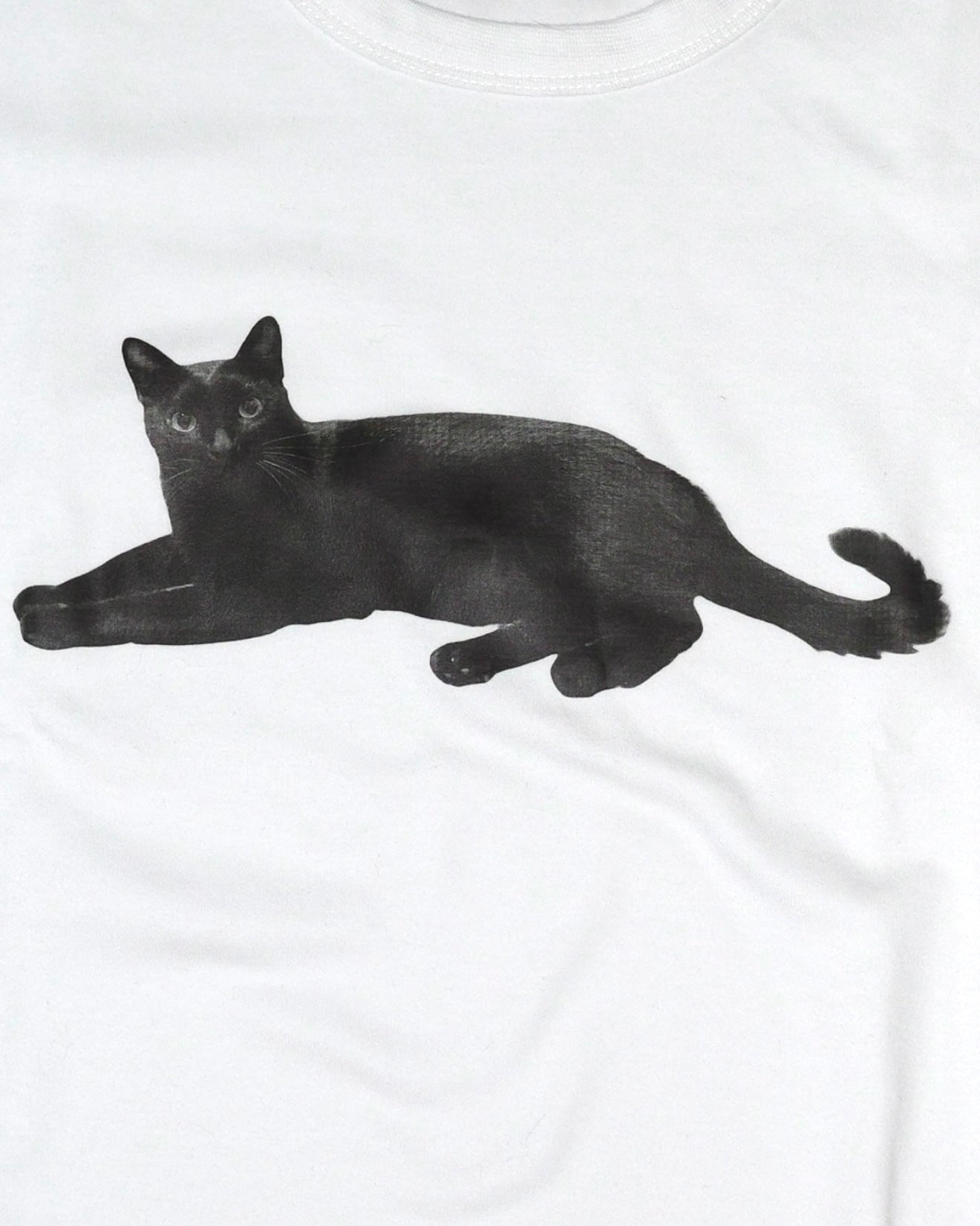 Shun Feng 04 Baby Tee