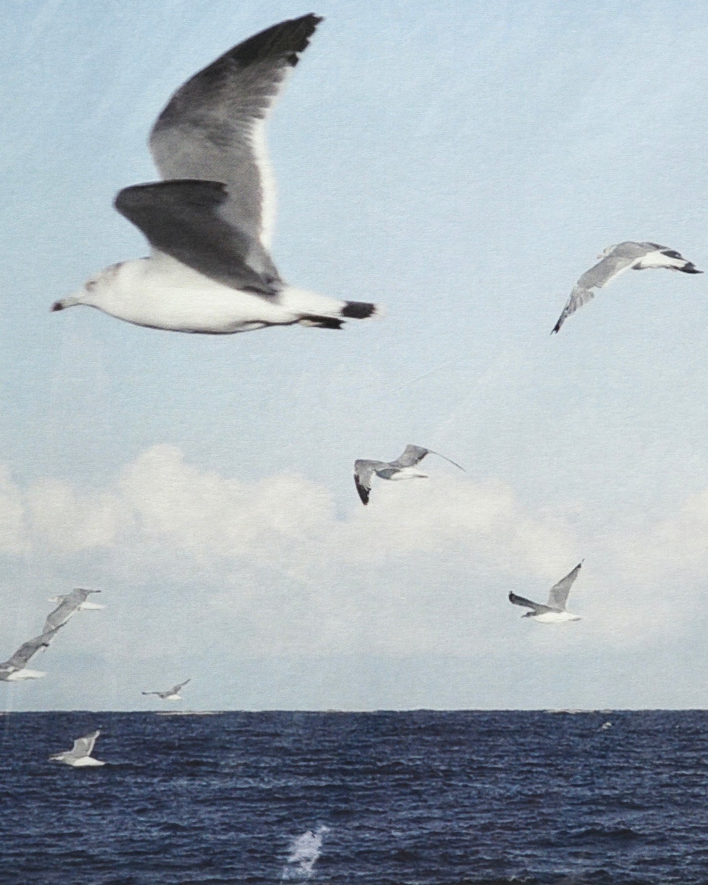 0100 Bird