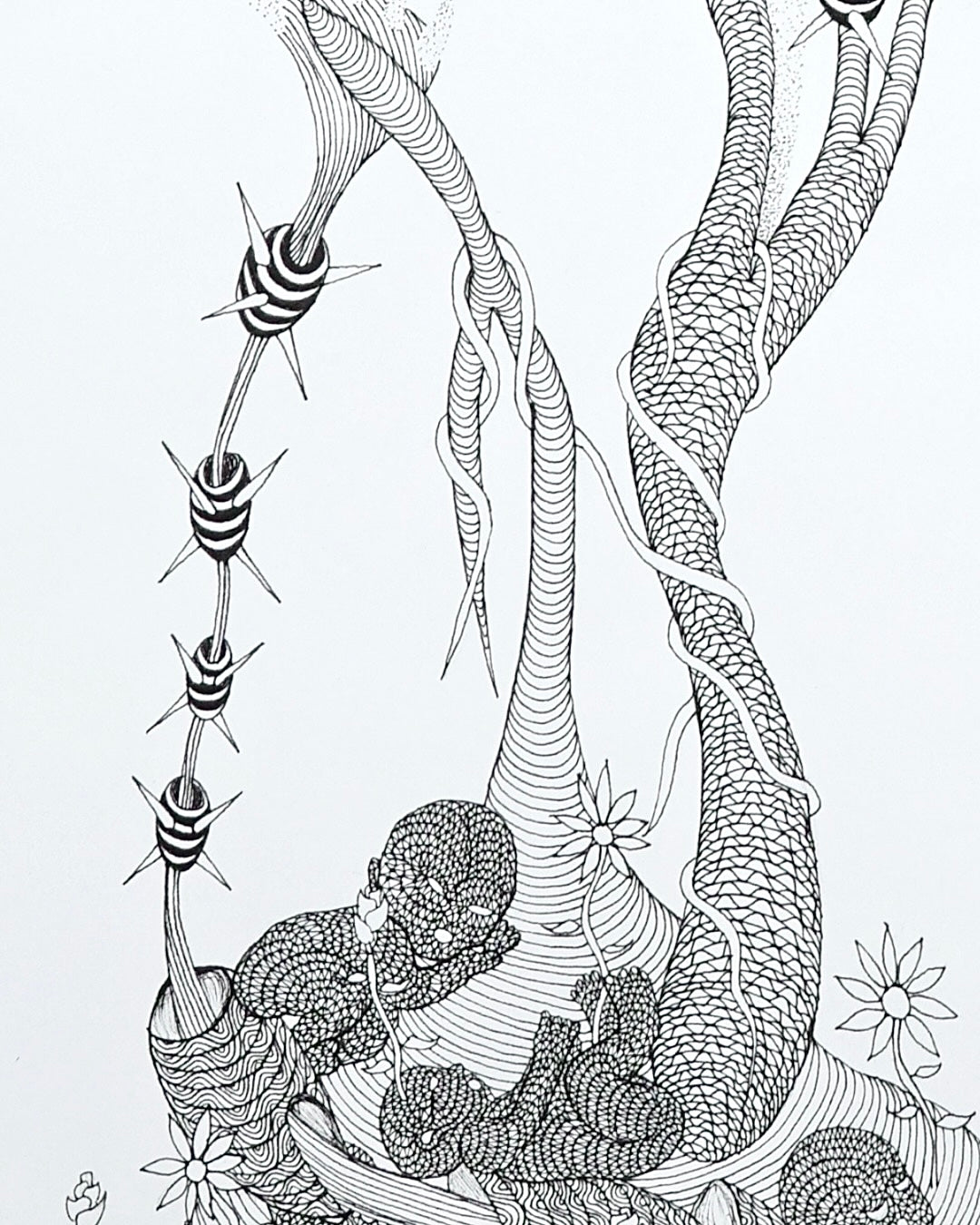 Growth
