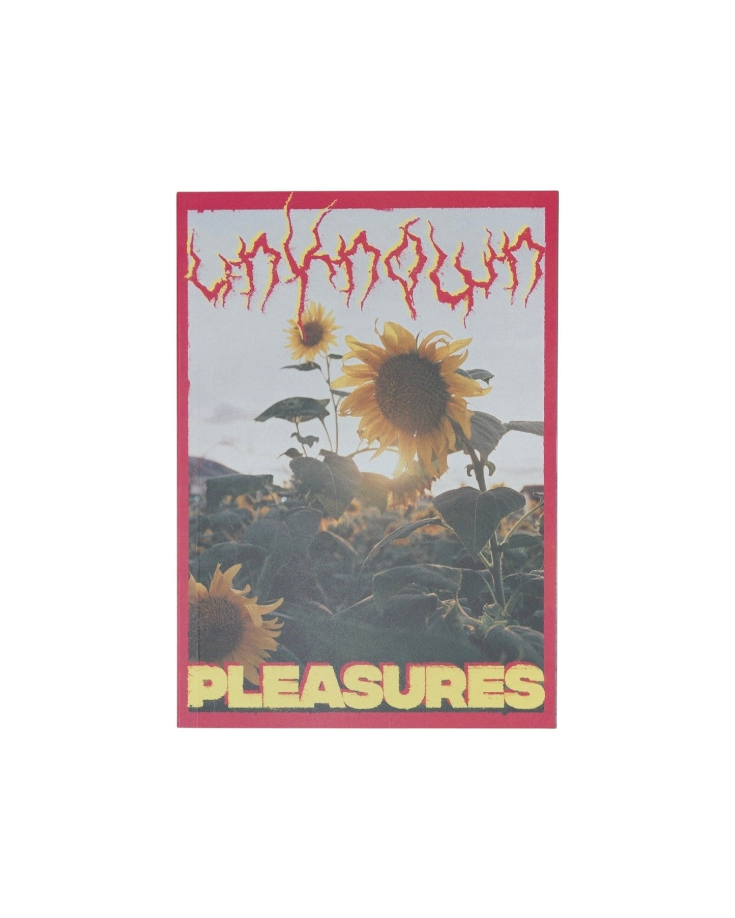 Unknown Pleasures Zine Issue 5