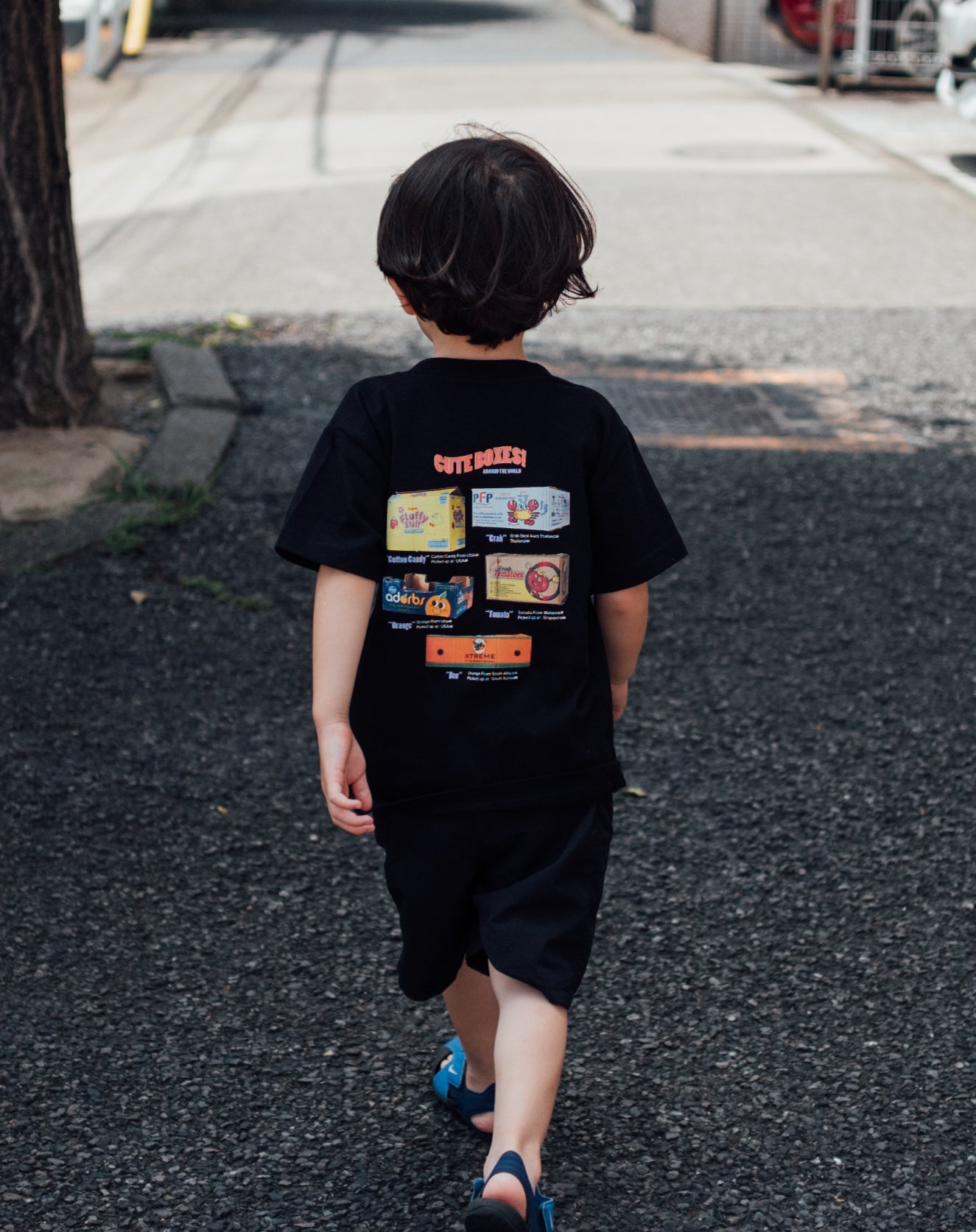 Cute Boxes Around the World (KIDS)