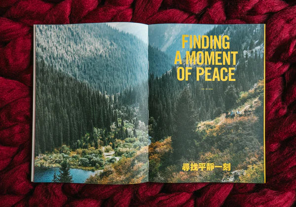 LOST ISSUE TEN
