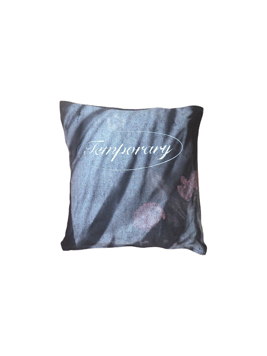 Sunfaded Cushion - 3