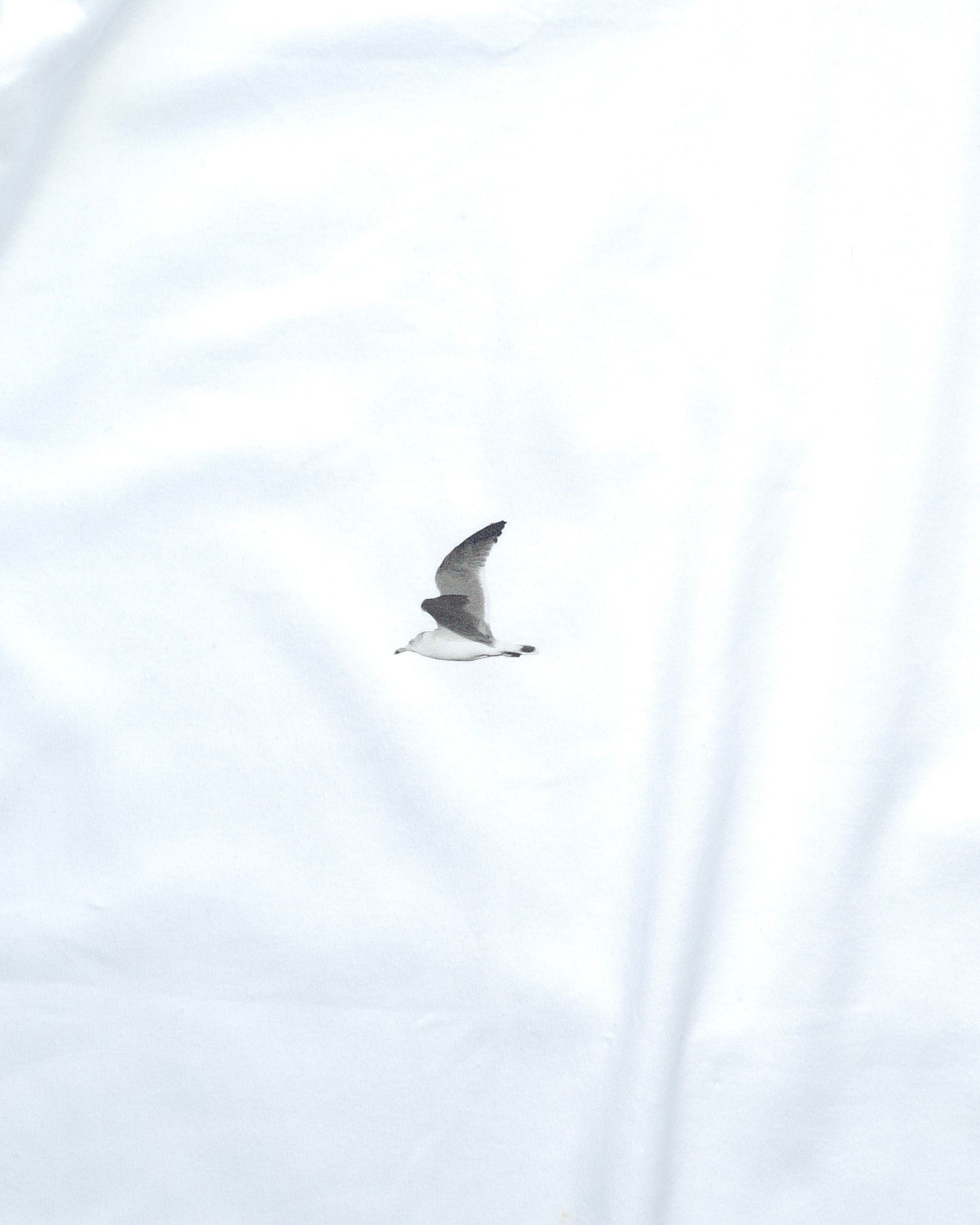 0100 Essential Tee: Seagull