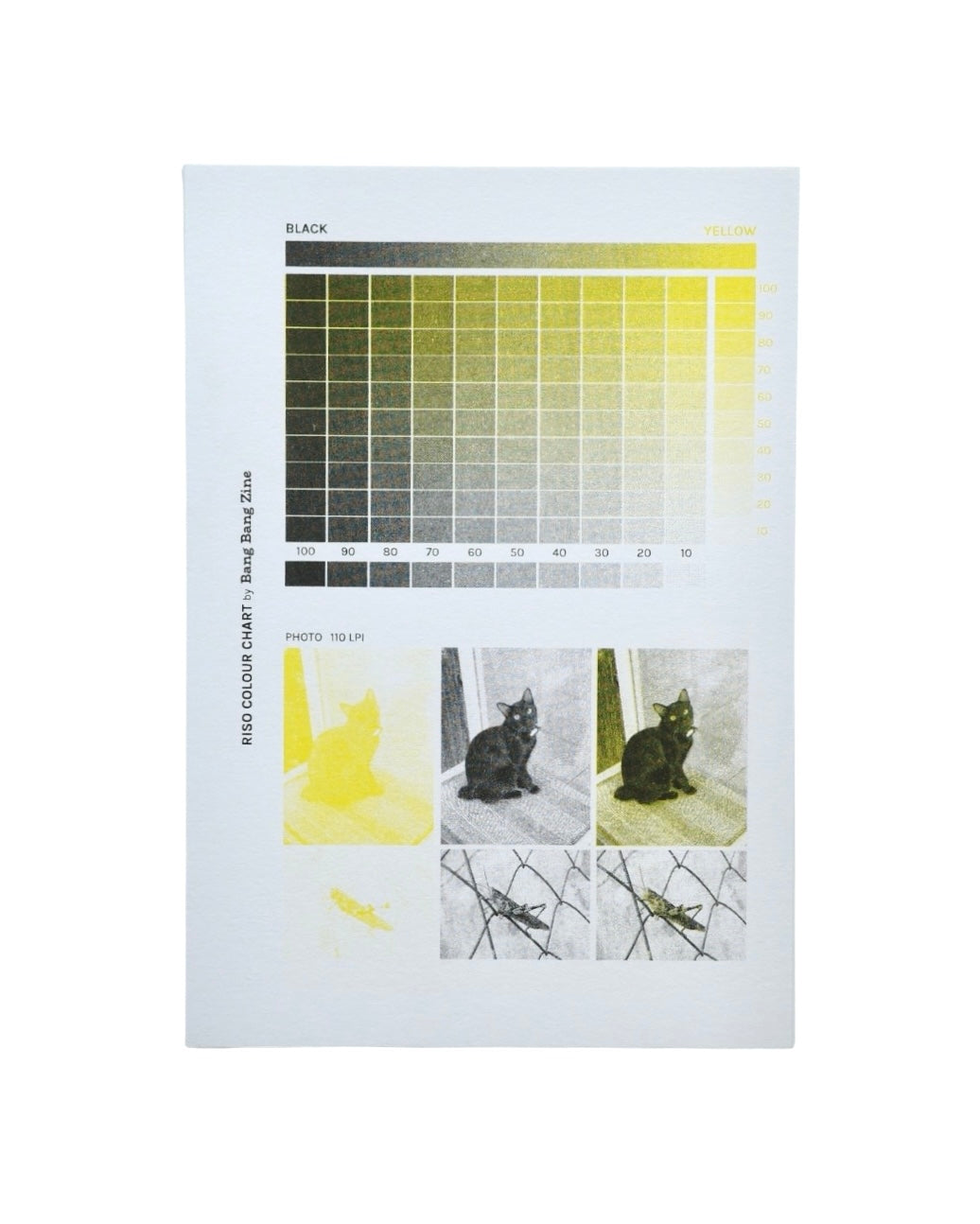 Riso Colour Chart