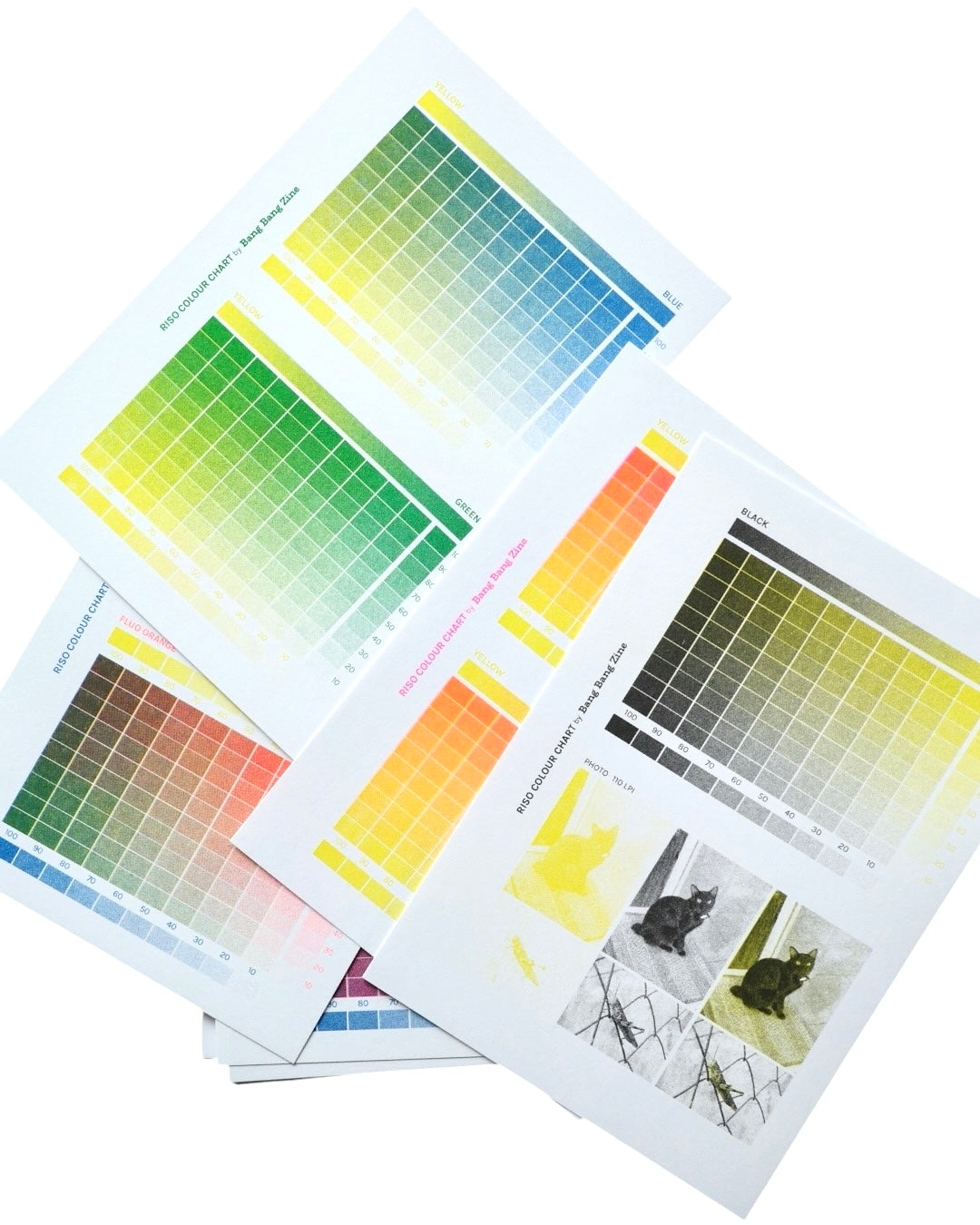 Riso Colour Chart