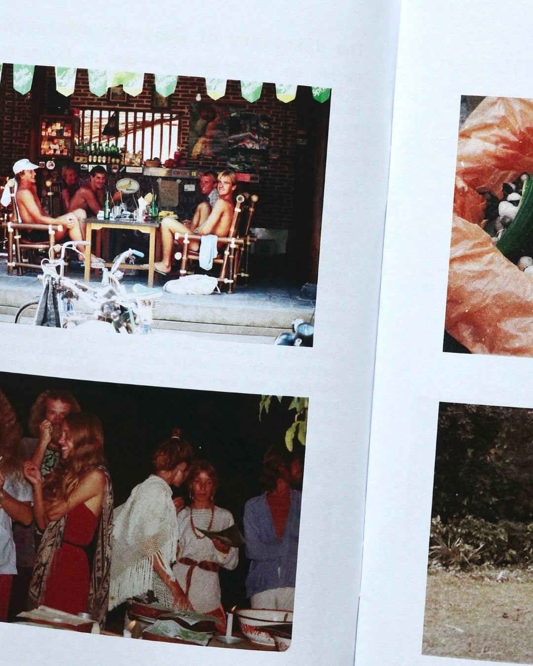 Blue Meanies: A Brief History of Magic Mushrooms in Bali