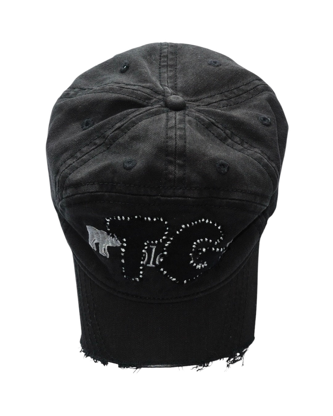 TG Patched Cap #1
