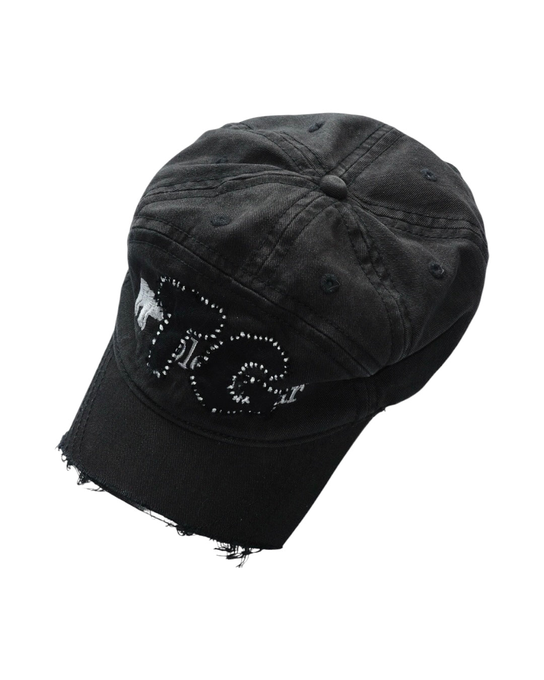 TG Patched Cap #1