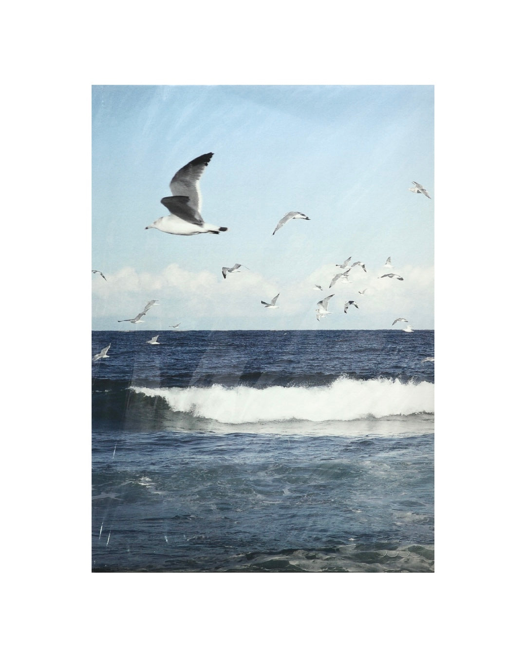 0100 Bird
