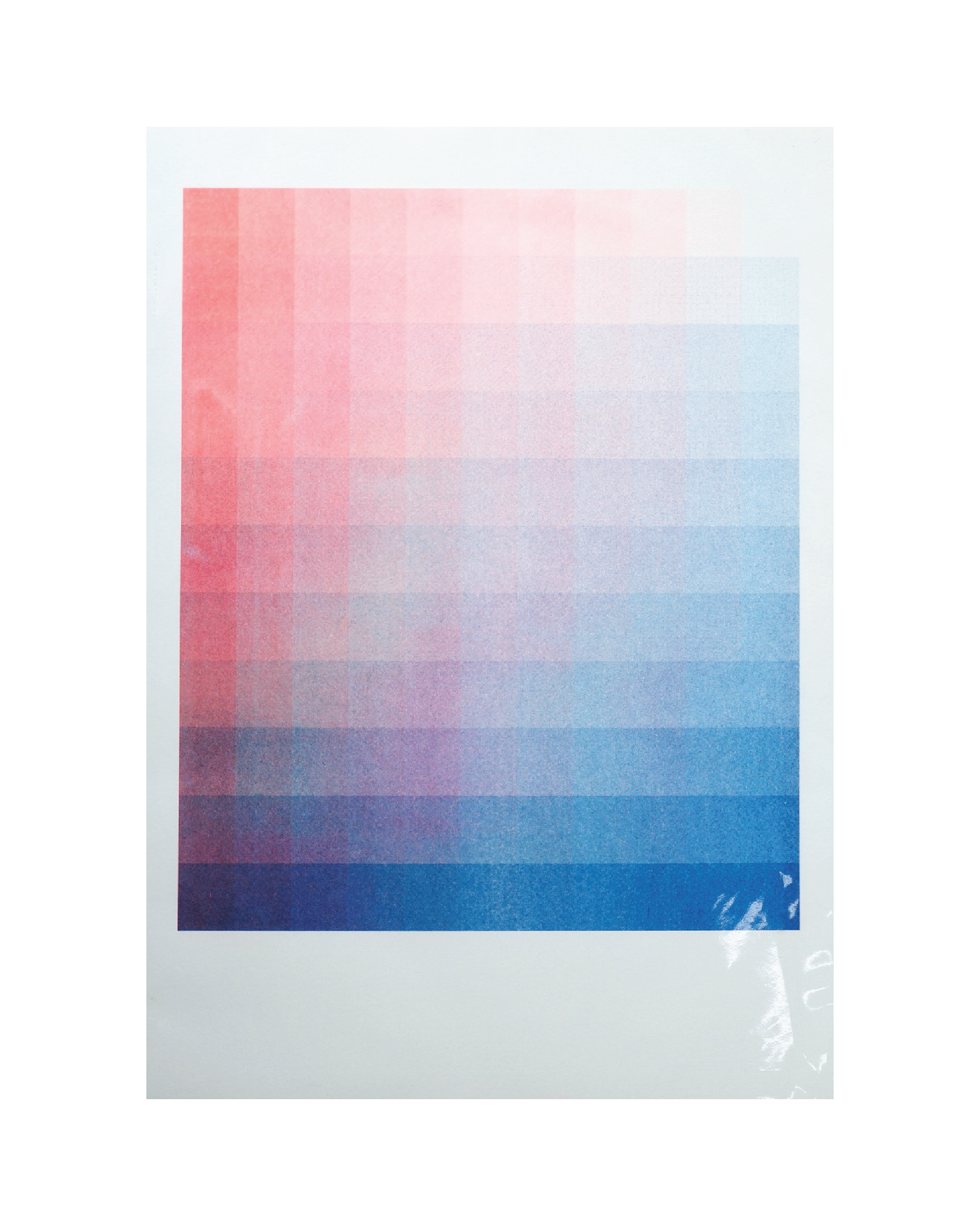 Riso 2C Poster