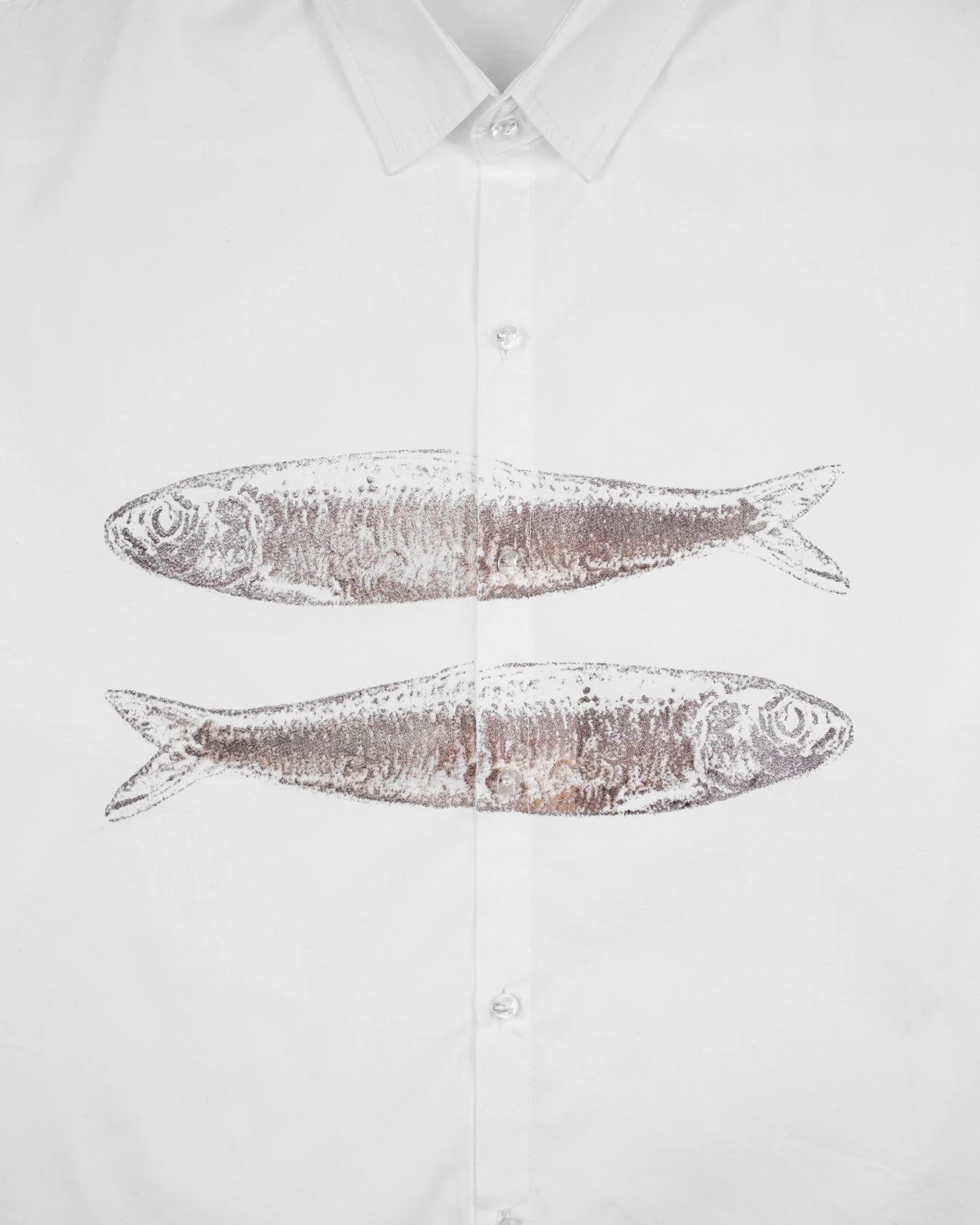 Fish Shirt in White