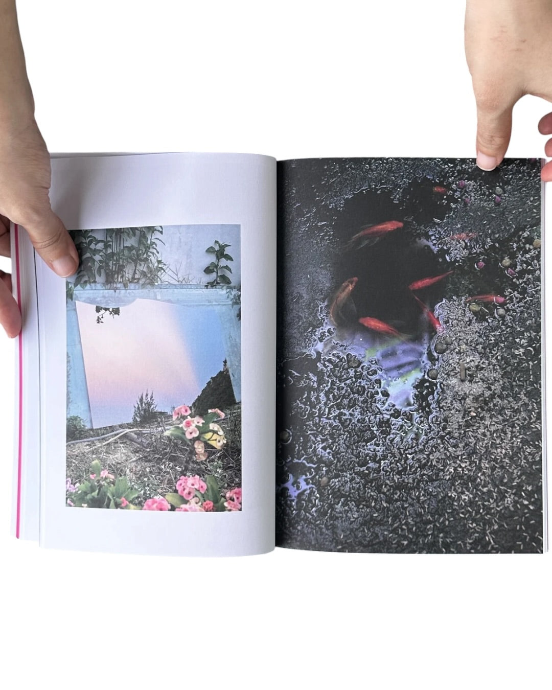 TiGA MATA Issue #5: Truth Flux