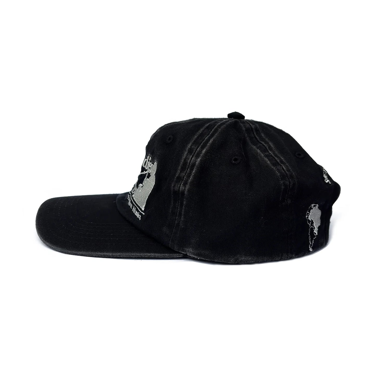 Voice of Brazil Cap